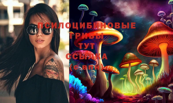 метамфетамин Каменка
