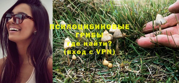 MESCALINE Каменногорск