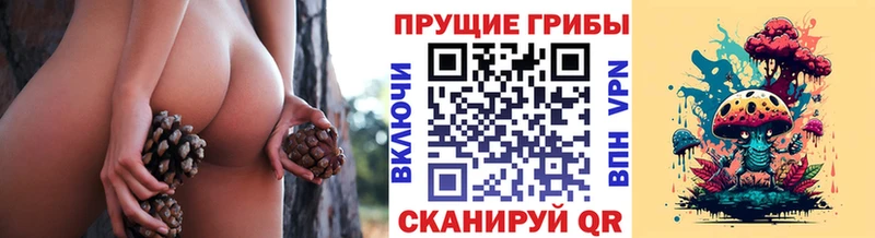 Купить закладки  Ленск  Галлюциногенные грибы мухоморы 